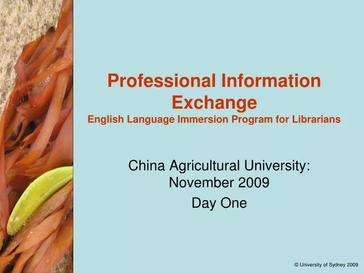 professional information exchange english language immersion program for librarians