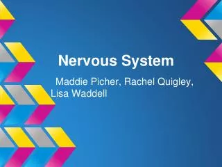 Nervous System