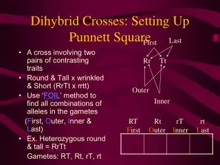 Dihybrid Crosses: Setting Up Punnett Square