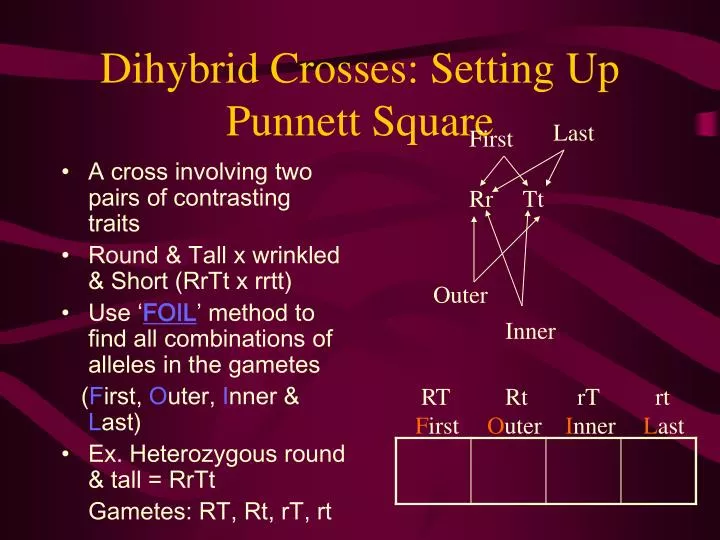 dihybrid crosses setting up punnett square