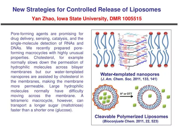 new strategies for controlled release of liposomes yan zhao iowa state university dmr 1005515
