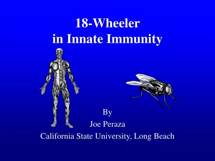18 wheeler in innate immunity