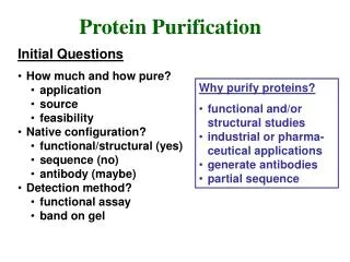 Protein Purification