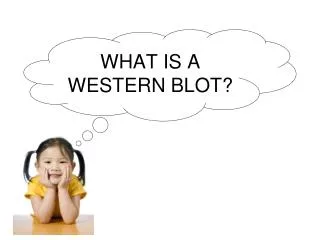 WHAT IS A WESTERN BLOT?