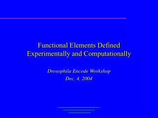 Functional Elements Defined Experimentally and Computationally