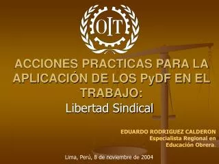 acciones practicas para la aplicaci n de los pydf en el trabajo