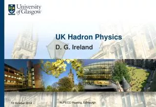 UK Hadron Physics