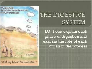 THE DIGESTIVE SYSTEM