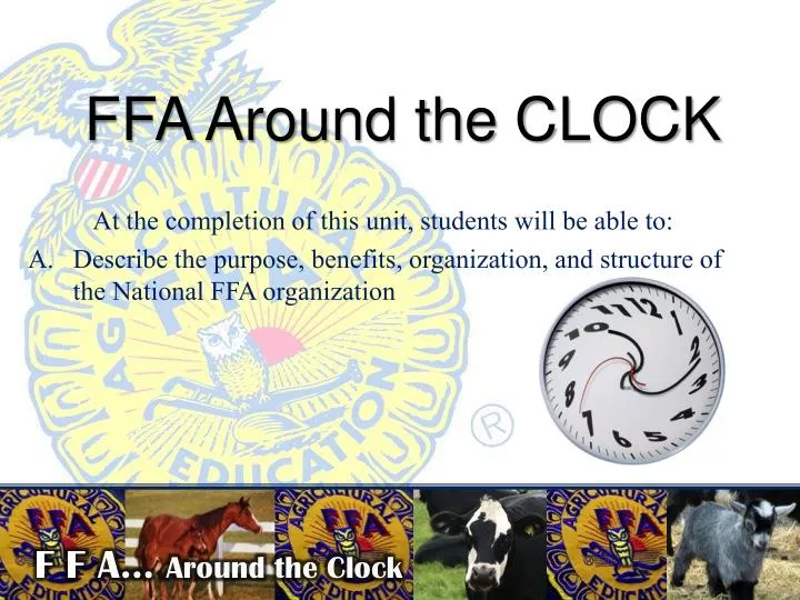 ffa around the clock