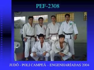 pef 2308