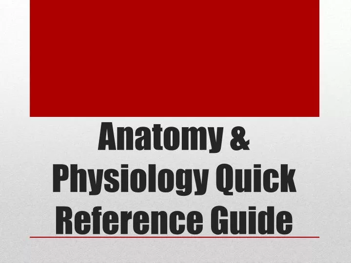 anatomy physiology quick reference guide