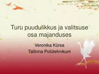 turu puudulikkus ja valitsuse osa majanduses