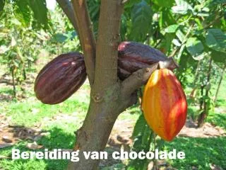 bereiding van chocolade