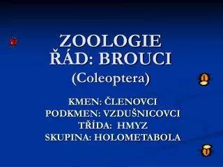 zoologie d brouci coleoptera