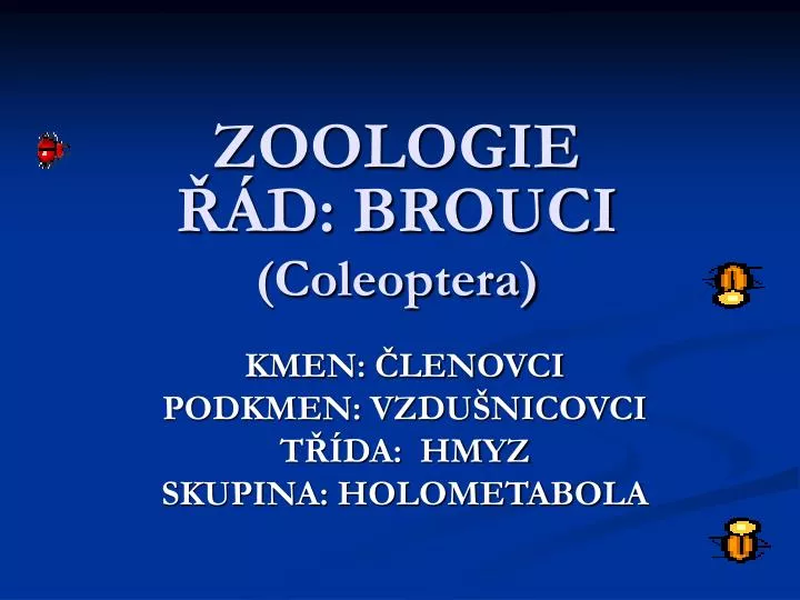 zoologie d brouci coleoptera