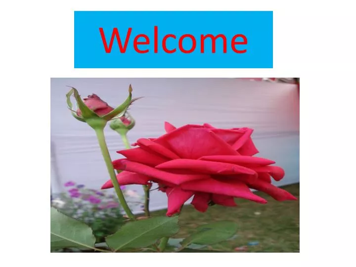 welcome