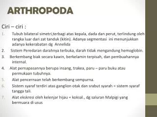 arthropoda