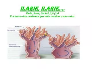 ilarie ilarie ilarie ilarie ilarie 3x a turma dos cnid rios que veio mostrar o seu valor