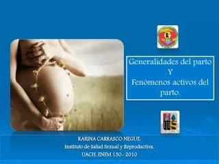 karina carrasco negue instituto de salud sexual y reproductiva uach enfm 130 2010