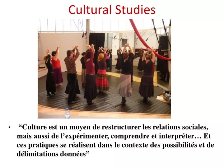 cultural studies