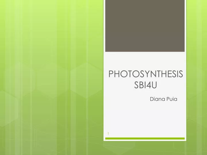 photosynthesis sbi4u