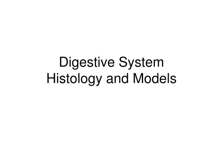 digestive system histology and models