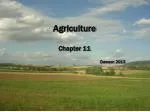 Agriculture - slide 1