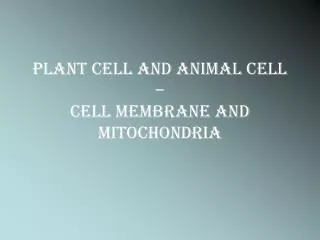 plant cell and animal cell cell membrane and mitochondria
