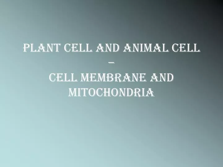 plant cell and animal cell cell membrane and mitochondria