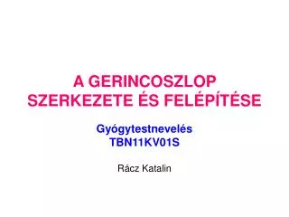a gerincoszlop szerkezete s fel p t se