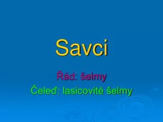 savci