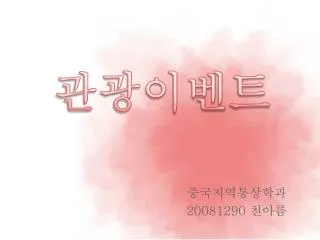 20081290