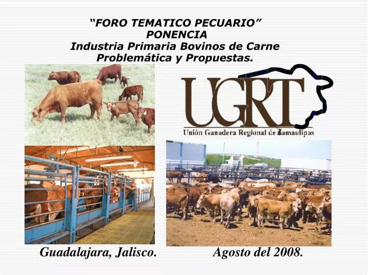 foro tematico pecuario ponencia industria primaria bovinos de carne problem tica y propuestas