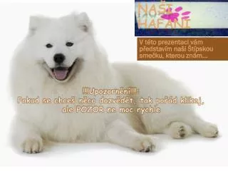 v t to prezentaci v m p edstav m na i t pskou sme ku kterou zn m