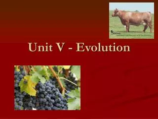 Unit V - Evolution