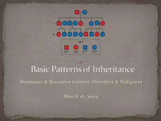 Basic Patterns of Inheritance