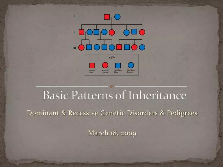 basic patterns of inheritance