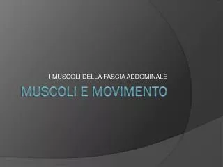 i muscoli della fascia addominale