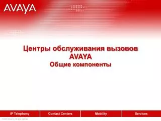 avaya