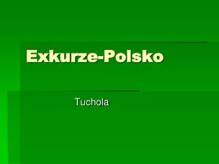 exkurze polsko