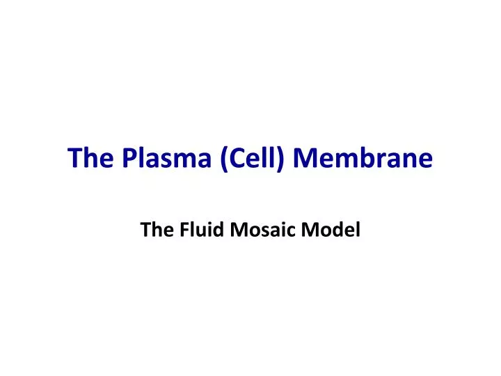 the plasma cell membrane