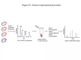 Figure S1. General experimental procedure