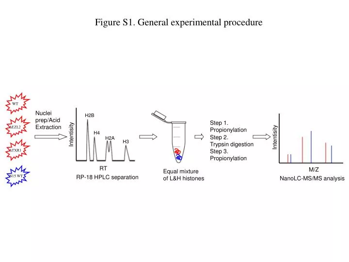 figure s1 general experimental procedure