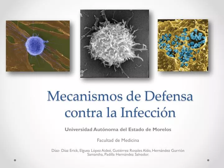 mecanismos de defensa contra la infecci n