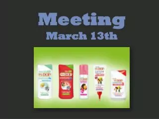 Meeting March 13th