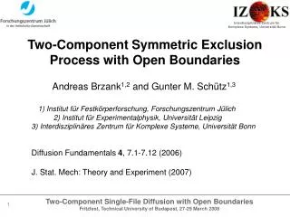 Two -Component Symmetric Exclusion Process with Open Boundaries