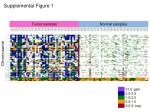Chromosome - slide 1
