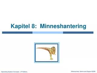 kapitel 8 minneshantering