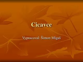 cicavce