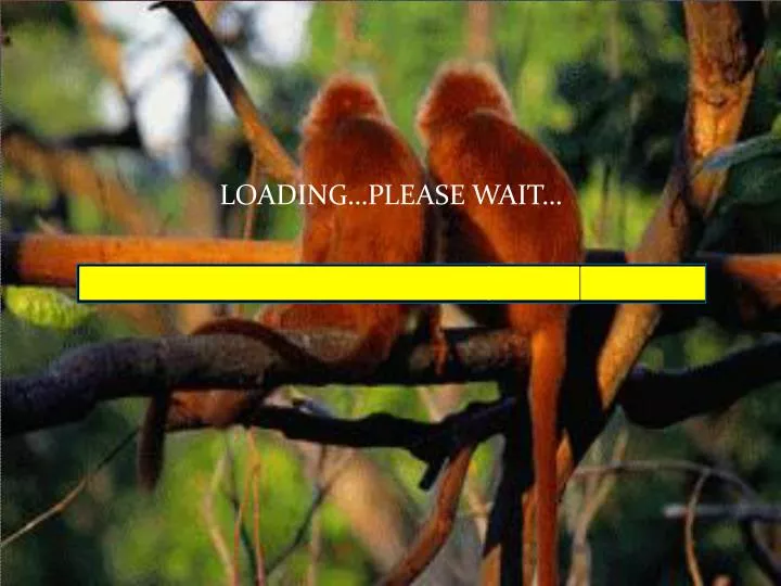 loading please wait